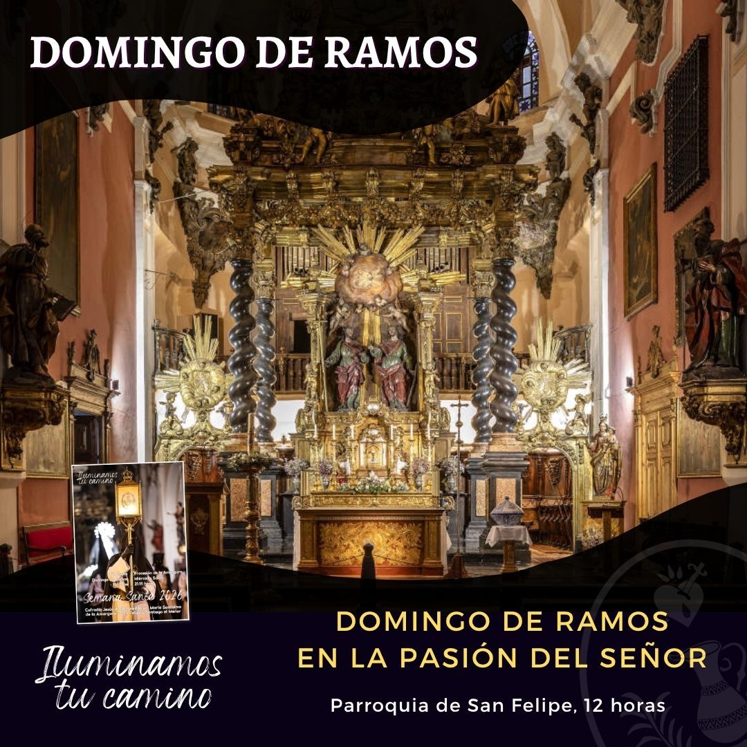 Lee más sobre el artículo Domingo de Ramos en la Pasión del Señor