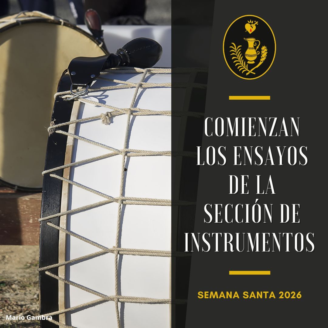 Lee más sobre el artículo Ensayos de la Sección de Instrumentos 2026